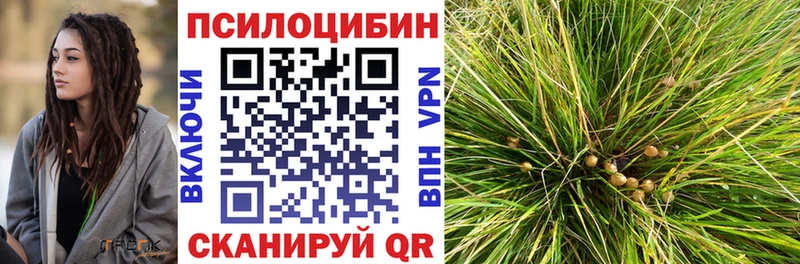 Галлюциногенные грибы мухоморы  Луга 